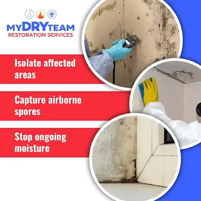 Mold inspection, ceiling cleaning, and baseboard moisture assessment.